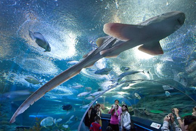 アンダーウォーター ワールド パタヤ Arbour Hotel And Residence